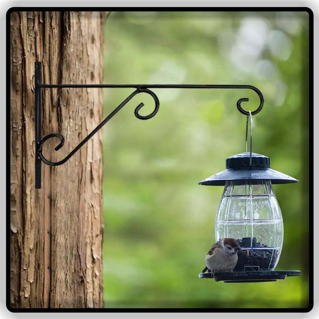 Heavy Duty Iron Wall Mounted Hanging Plant Bracket