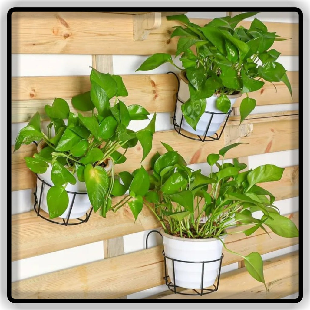 Balcony & Fence Planter Stand Black